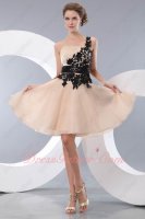 Left One Shoulder Hollow Out Venice Lace Champagne Organza Prom Event Dress Short
