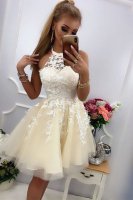 Sheer Halter Sweetheart Inside Champagne Graduation Homecoming Dress Girl