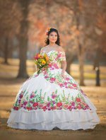 Off Shoulder Multilayer Embroidery Flowers Charro Quinceanera Dress Online Store