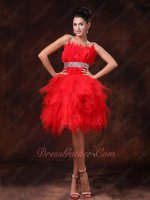 Brisk Strapless Plume Bodice Fluffy Red Birthday Party Dress Designer Recommend