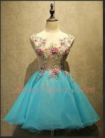 Wintersweet Appliques Decorate Diaphanous Upper Body Aqua Blue Mini Homecoming Dress