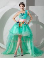 Nifty One Shoulder High-Low Spring Green Princess Gown With Multicolor 3D Flowers