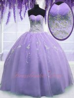 Silver Embroidery Lavender Organza Plain Puffy Quinceanera Ball Gown Gorgeous