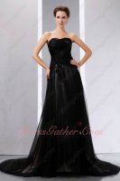 Black Tulle Champagne/Nude Lining Celebrity Evening Party Dress Ebay Best Seller