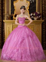 Deep Lilac Fashion Icon Embroidery Quinceanera Sweet 16 Ball Gown New Jersey