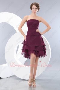 Layers Skirt Dark Purple Short Prom Gowns Photography Studio Property Attire