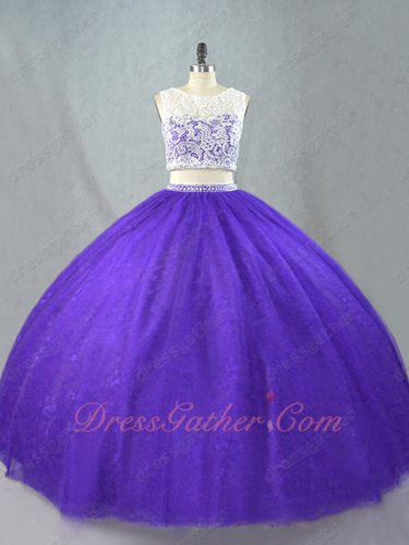 Two Pieces Suit Show Waist Blue Violet Pansy Plain Quinceanera Ball Gown Leisure