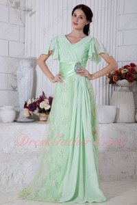 Wing Butterfly Ruffle Sleeves V-Neck Mint Green Special Occasion Prom Gowns Lace