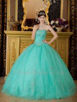 Flattering Plain Organza Quinceanera Ball Gown Mint Apple Green Silver Embroidery