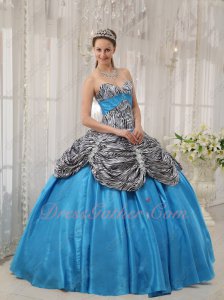 Pick Up Zebra Overlay Flat Aqua Blue Girls Quinceanera Ball Gown Inexpensive