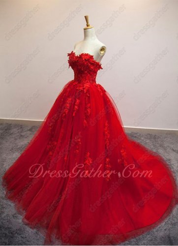 Appliques Scarlet Formal Ball Gown Stage Show Company Annual Meeting 2019 Year End