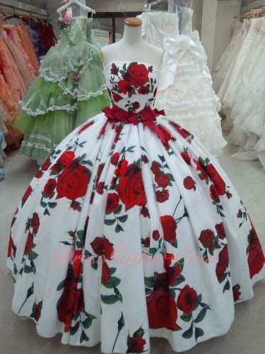 Printed Fabric Romantic Rose Flowers Floor Length Quinceanera Gown Special Unique