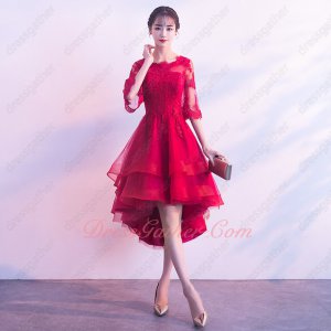 Scoop Flare Sleeve Layers Horsehair Hemline Applique High Low Cocktail Gowns Elegant