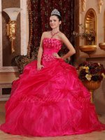 Fuchsia/Magenta Organza Winter Warm Color Quince Ball Gown With Stereoscopic Flowers