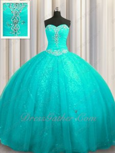 Turquoise Tulle Cathedral Train Girl 15 Plain Quinceanera Adult Ceremony Gown Pretty