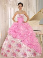 Flat Printed Floral Pattern Skirt/Pink Organza Bubble Overlay Court Ball Gown