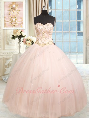 Blush Pink Gold Embroidery Brilliant Quinceanera Ball Gown Photography Studio Costumes