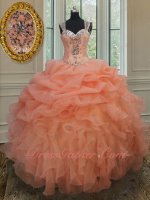 Double Straps Full Tulle Cover Back Peach Pink Organza Quinceanera Ball Gown 2019