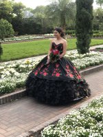 Romantic Black Organza and Rose Pattern Embroidery Charro Quinceanera Dress Ruffles Train