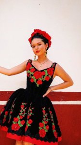 Elegant V Neckline Short Dama Charro Quinceanera Dress Black With 3D Rose Flowers