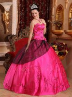 Classical Fuchsia Embroidery 16th Girls Ball Gown Black Organza Flat Overlay