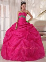 Spring Green Flower Decorate Fuchsia Quinceanera Girls Ball Gown Pageant