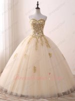 Princess Like Champagne Gauze Mesh Gold Applique 2019 Quinceanera Ball Gowns Top Seller