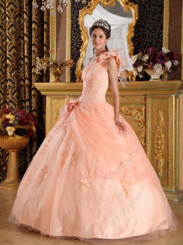 Light Peach Mesh Puffy Quinceanera Gown Single Shoulder With Feather