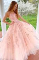 Designer Spaghetti Straps Applique Bateau Neckline Blush Pink Prom Gown