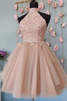 High Neck Open Back Pale Mauve Cameo Tulle Homecoming Dress With Vintage Lace