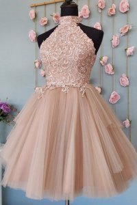 High Neck Open Back Pale Mauve Cameo Tulle Homecoming Dress With Vintage Lace