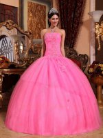 Princess Rose Pink Mesh Pin-tucks Dropped Waistline Girls Wear Quince Court Gown Puffy