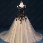 Exquisite Scoop Neck Black Appliques Champagne Tulle Puffy Skirt Celebrity Dress