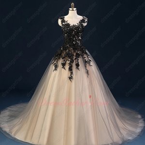 Exquisite Scoop Neck Black Appliques Champagne Tulle Puffy Skirt Celebrity Dress