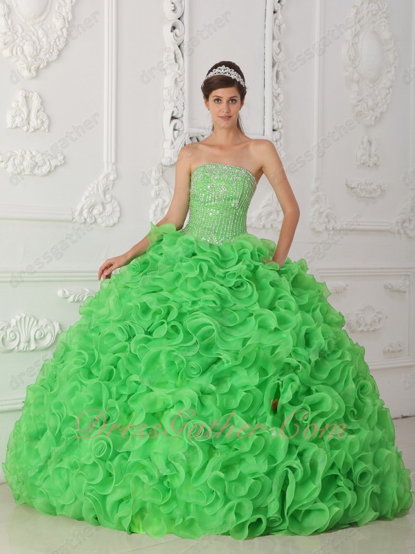 Spring Green Curly Thick-Organza Ruffles Puffy Quince Ball Gown Silver Details - Click Image to Close