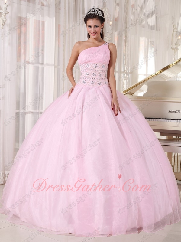 One Shoulder Baby Pink Organza Corset Back Quinceanera Gowns Dress Princess Like - Click Image to Close